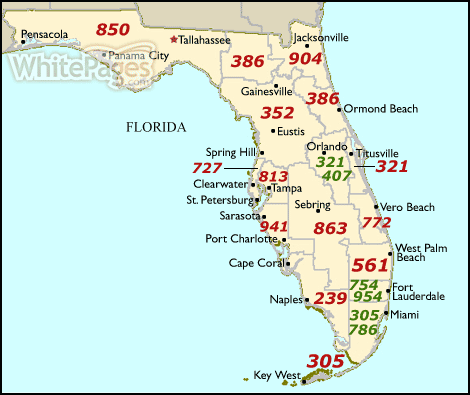 Tampa FL Area Codes